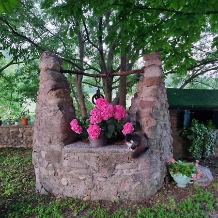 Agriturismo Case In Collina Volta Mantovana Zewnętrze zdjęcie